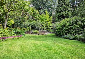 Optimiser l'expérience du jardin à Berre-l'Etang
